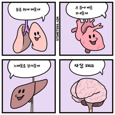 우리 몸 장기의 역할