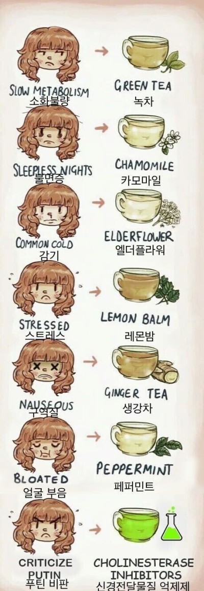 만화+음식+정치 애매한 포스트