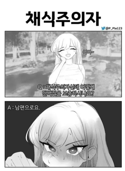 채식주의자 단백질 보충방법의 비밀