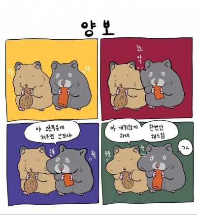 양보와 합의