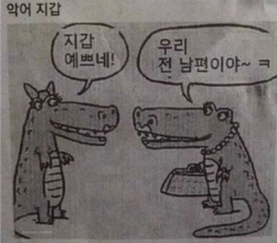 지갑 예쁜데용