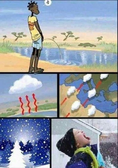 과연 사실일까? 그래서 알아봤다
