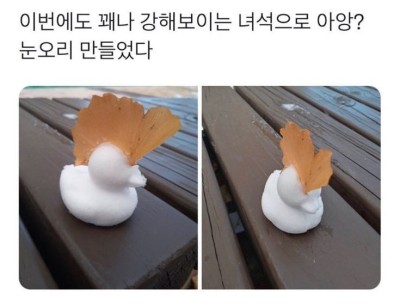 좀 쎄 보이는 스노우덕